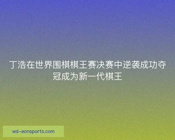 丁浩在世界围棋棋王赛决赛中逆袭成功夺冠成为新一代棋王