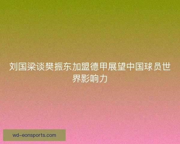 刘国梁谈樊振东加盟德甲展望中国球员世界影响力